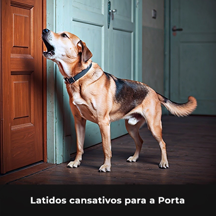 latidos_porta